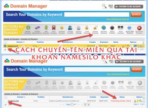 chuyển tên miền name silo